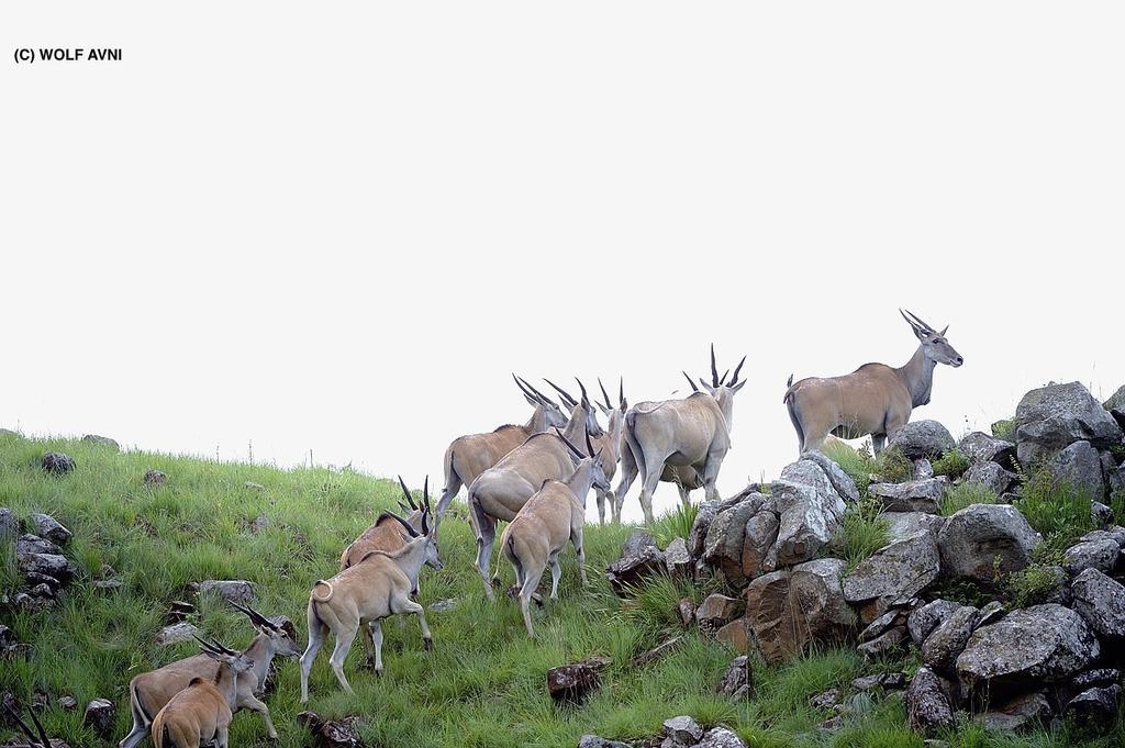 Giantscup Wilderness Reserve Underberg Bagian luar foto